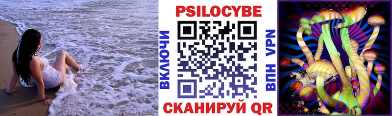 Псилоцибиновые грибы Cubensis Ессентукская