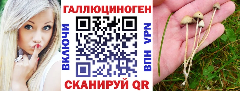 Галлюциногенные грибы GOLDEN TEACHER  Ессентукская 